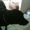 sami olsen - @olsen_sami - Twitter