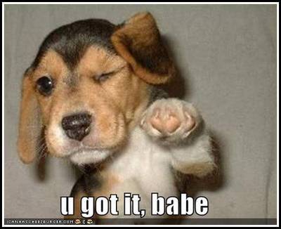 Every day the best pictures!!! Every new follower gets FB