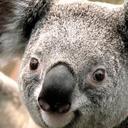 hannah fehr - @hannahfehr - Twitter