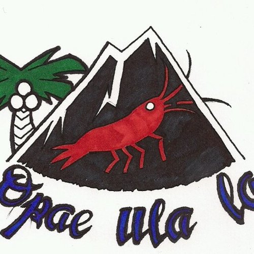 Your one stop shrimp shop! These shrimp are PETS ONLY, not food!!
We here at Opae Ula La handcraft and sell Eco-jars.
