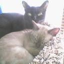 Lori Cabrera - @lcabrera01 - Twitter