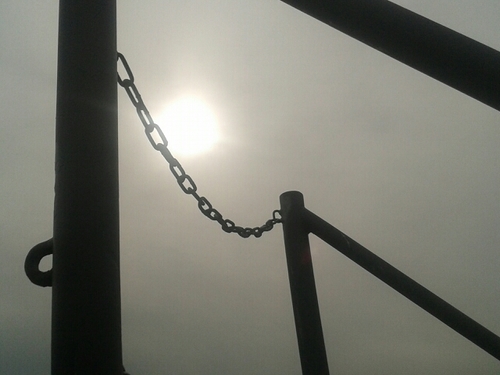 WiliamCatesby's profile picture. 