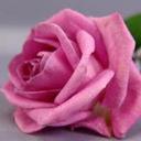 Hazel Vargas Gomez - @HazelVargasGome - Twitter