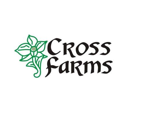 crossfarms's profile picture. Customized Sourcing of Fresh Cut Flowers. Nationwide service since 2001.