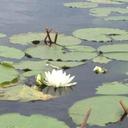 Noreen Roman - @RomanNoreen - Twitter