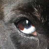 Sean Barry (@chef_seanzzzb) Twitter profile photo