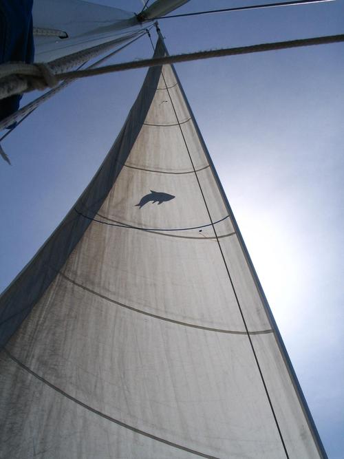 ZeuGaiaMa's profile picture. 