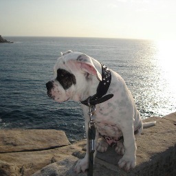 19dollarreviews's profile picture. We provide honest book reviews for Indie Authors: $29 for 3 reviews.

Editorial reviews are also available for $29.

http://t.co/t7lvxcG8Cg