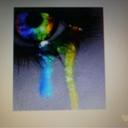 Suzanne Cove - @suzanne_chick - Twitter