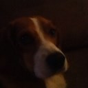 jakob chance scott - @awsome_man1 - Twitter