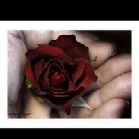 Mix.Rt (@mix_rt_kw) 's Twitter Profile