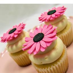 Tortas decoradas, pintadas a mano, gelatinas florales, galletas, cupcakes,  todo tipo de dulces para engalanar tu festejo. Correo: Tortasflor7@gmail.com