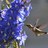 arlenebrown66's profile image