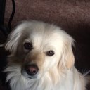 janine watson - @janinewatson04 - Twitter