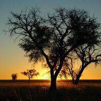 Namibia Travel News (@namibiatravel) Twitter profile photo