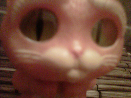 nif1981's profile picture. 