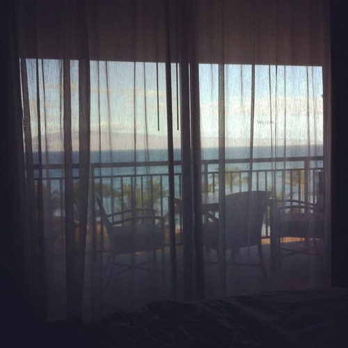 GabrielaCmbtMed's profile picture. 