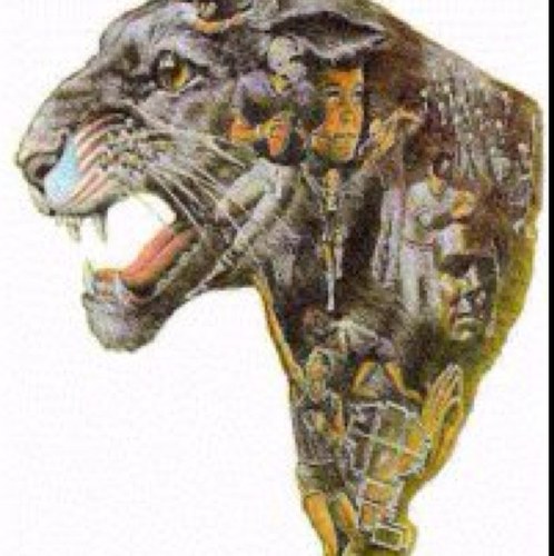 TKStonePep's profile picture. 