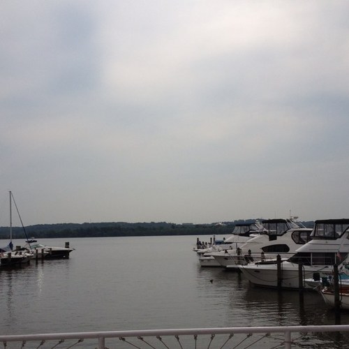 bigview1's profile picture. 