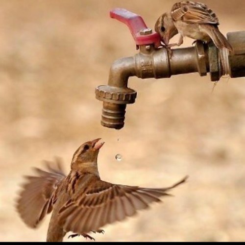 سبحااان الله وبحمده سبحان الله العظيم♥ اللهم اجعل لسانـي رطباً بذگرگ♥