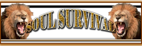 DJ/Soundsystem Soundclash Champions
Madd ah Road!!
bookings: soulsurvivalent@gmail.com