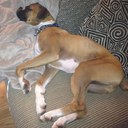 Neil joyce - @Joyce18Neil - Twitter