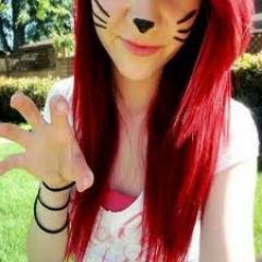 I love cats (irony), food, and music.