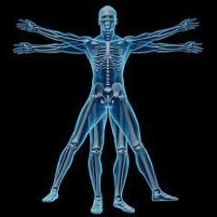 Dr Sexton is based in Middleburg Florida & is committed to bringing the best Chiropractic care to the area for you and your whole family.
