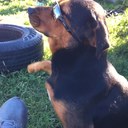 donny holt - @DonnyHolt - Twitter