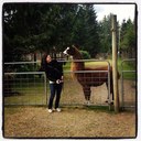 Susie Shapiro - @SusieShapiro - Twitter