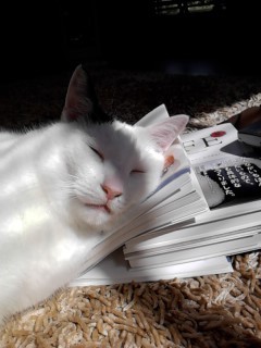 talltree0619m's profile picture. 