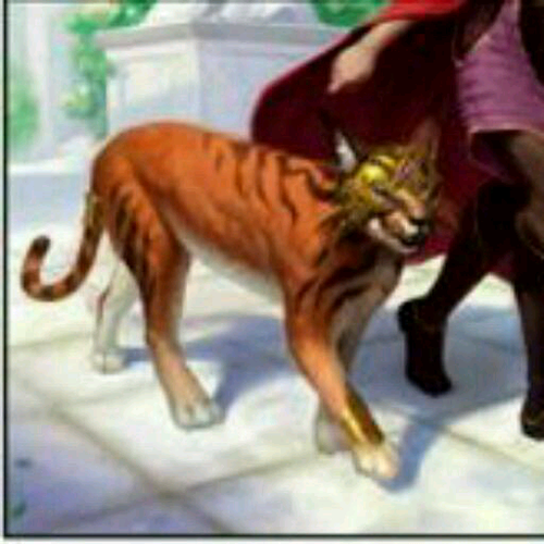 @caracal0109