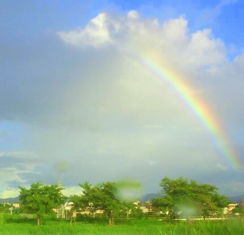 fukurou8's profile picture. ふらっと好きな所へ…てな感じの奔放人。変な人。海のない所で育ったせいか海辺で潮風に吹かれるのがすき。好き:粉ﾓﾉ、麺類全般、玄米茶、だし巻き玉子 。最近、昔よく飲んでた日本酒をまた少々嗜むように。近頃の休日の過ごし方：動画見て癒しと元気を貰ってます。気になること等たまにポツッとつぶやきます。宜しくお願いします！