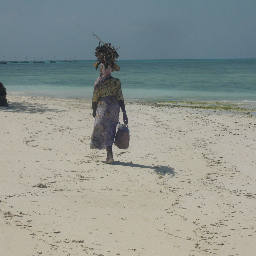 AgaSchilling's profile picture. 