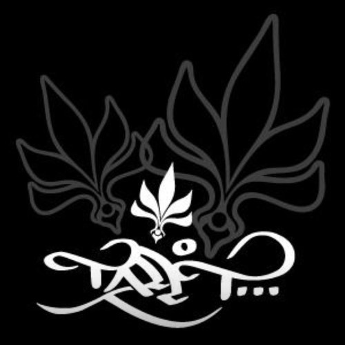 talltco's profile picture. Livin’ Gifted & Always Lifted // A Mile Higher Than The Rest // #talltfam