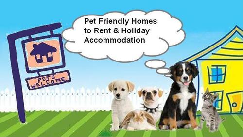 Pet Friendly Rentals