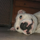 john cheney - @jonefc - Twitter