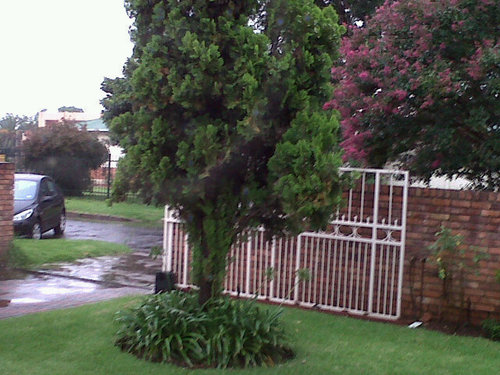 SorayaValley's profile picture. A fun loving Mum n wife.