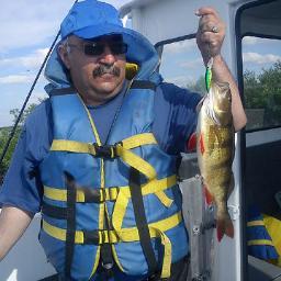 anddoronin's profile picture. Переведи меня через майдан...