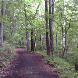 kincadeさんのプロフィール画像