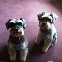 brian hegarty - @brianhegarty80 - Twitter