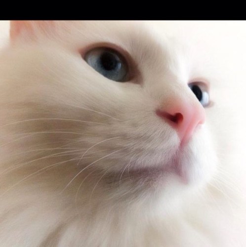 ldh1321's profile picture. 얗ㅡ