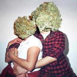 mrganjik's profile picture. 