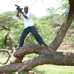 Portuschege's profile picture. 