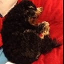 Leo field - @leo_leofield - Twitter