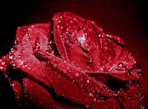 Dharmpalsingh19's profile picture. 