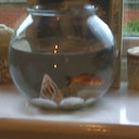 Dave Rex Mohammad Jr - @DaveDavethefish - Twitter