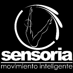 Centro profesional especializado en STOTT PILATES, REDCORD, FISIOTERAPIA Y ESTETICA.