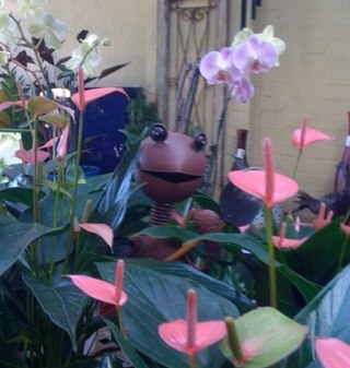 newtowngarden's profile picture. an oasis on King Street