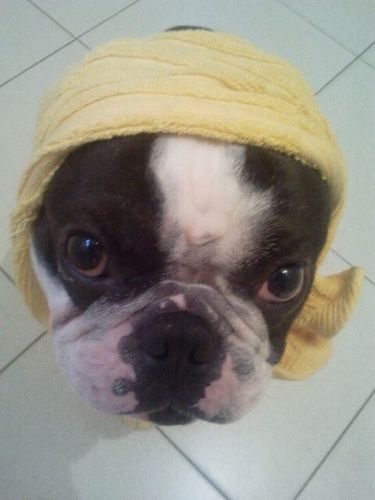 Jester3k's profile picture. I make pixels and move them sometimes